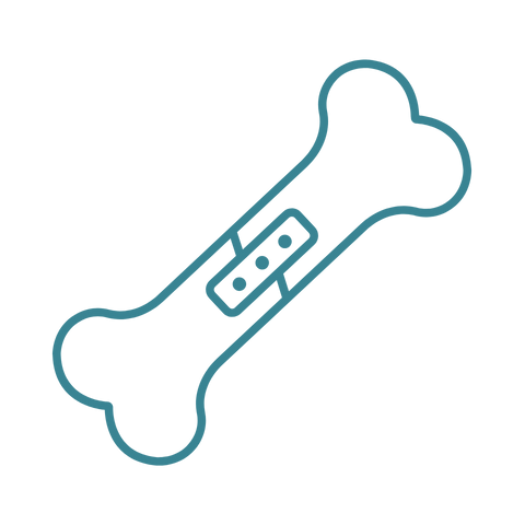 整形外科のアイコン。