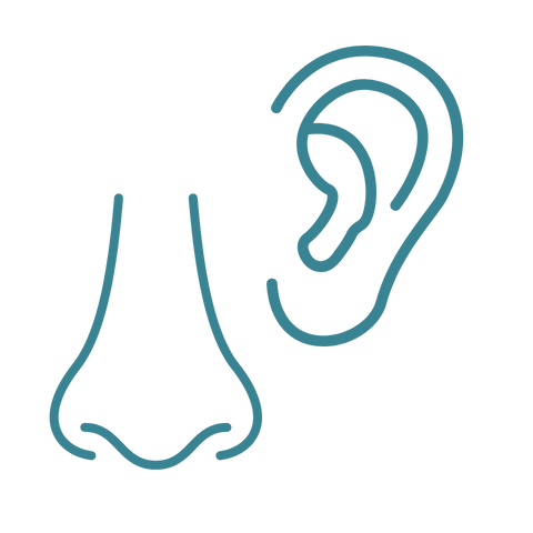 耳鼻喉科图标。
